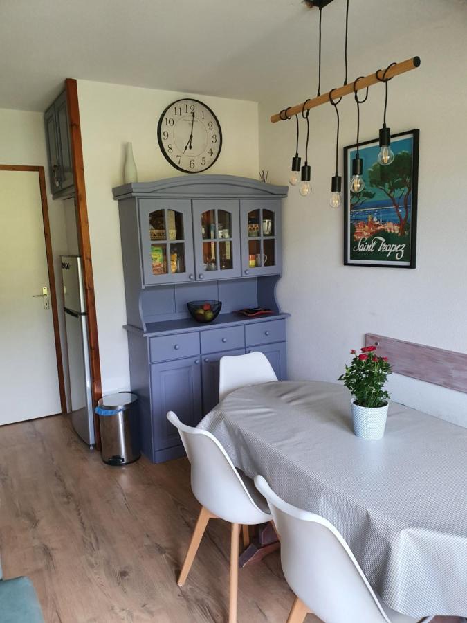 Tres Bel Appartement Vue Montagne Du Devoluy Saint-Étienne-en-Dévoluy Eksteriør bilde